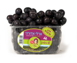 ארלי אדורה