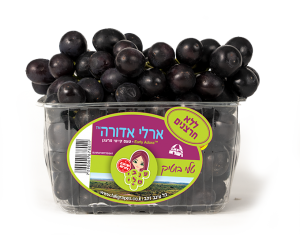 ארלי אדורה