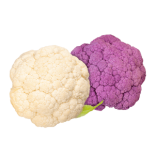 מארז כרובית צבעונית