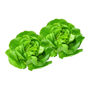 משלוחי פירות וירקות