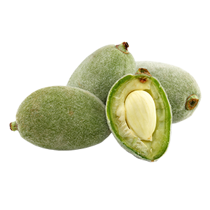 שקדים ירוקים שקדים ירוקים