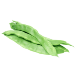 שעועית ירוקה רחבה