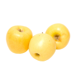 תפוח עץ מוזהב בראשית