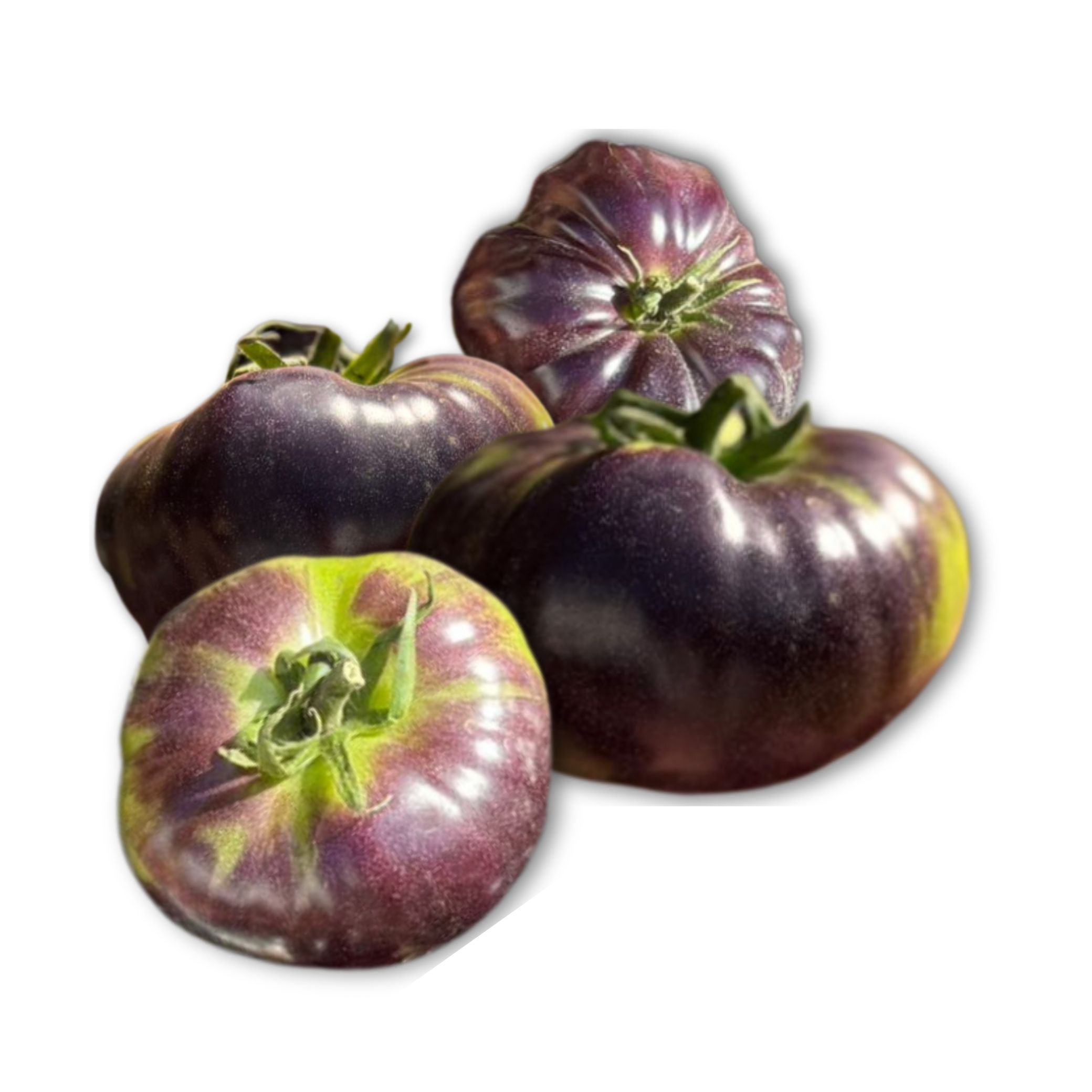 עגבניה ראף לב השור שחורה