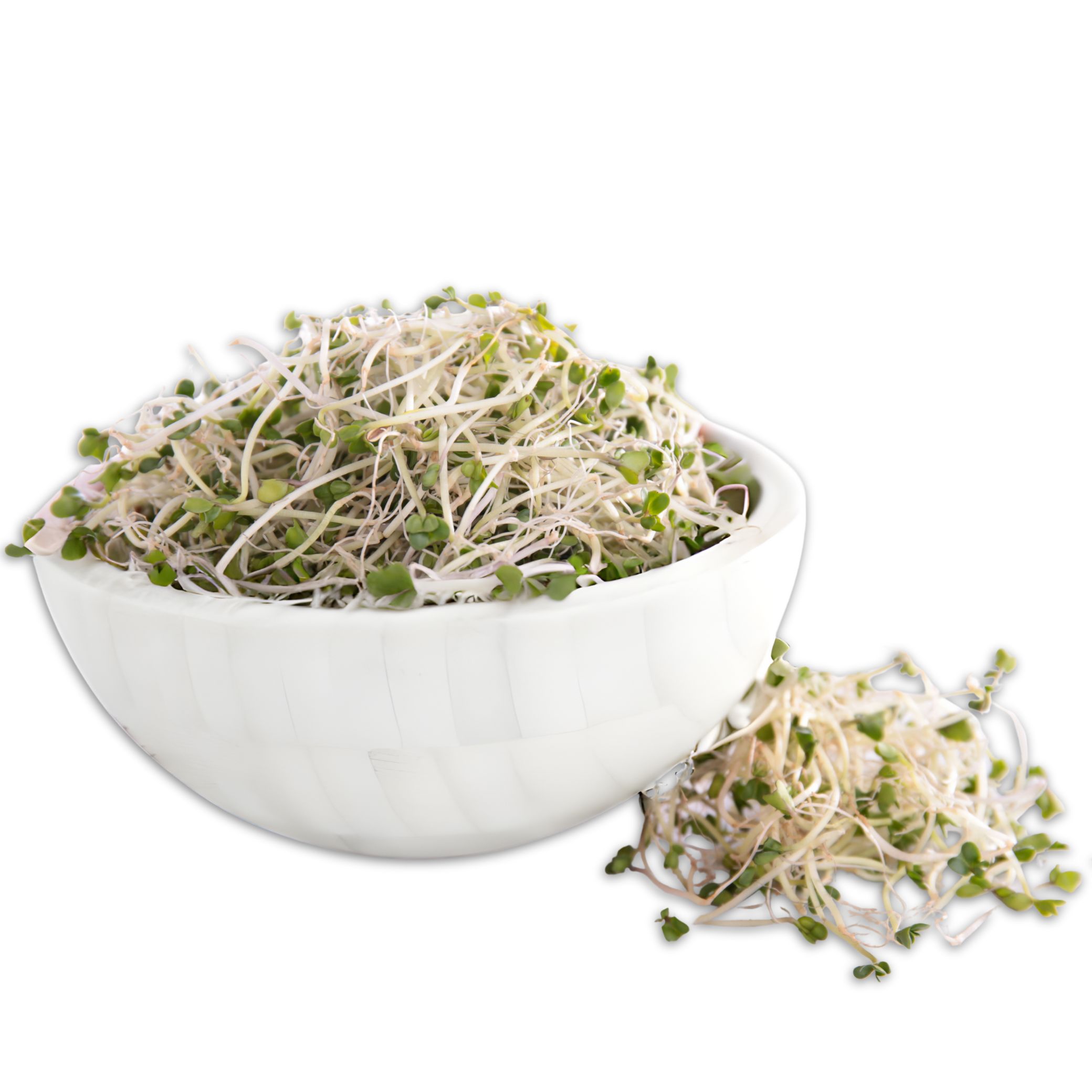 Broccoli sprouts נבטי ברוקולי נבטים Broccoli sprouts נבטי ברוקולי נבטים