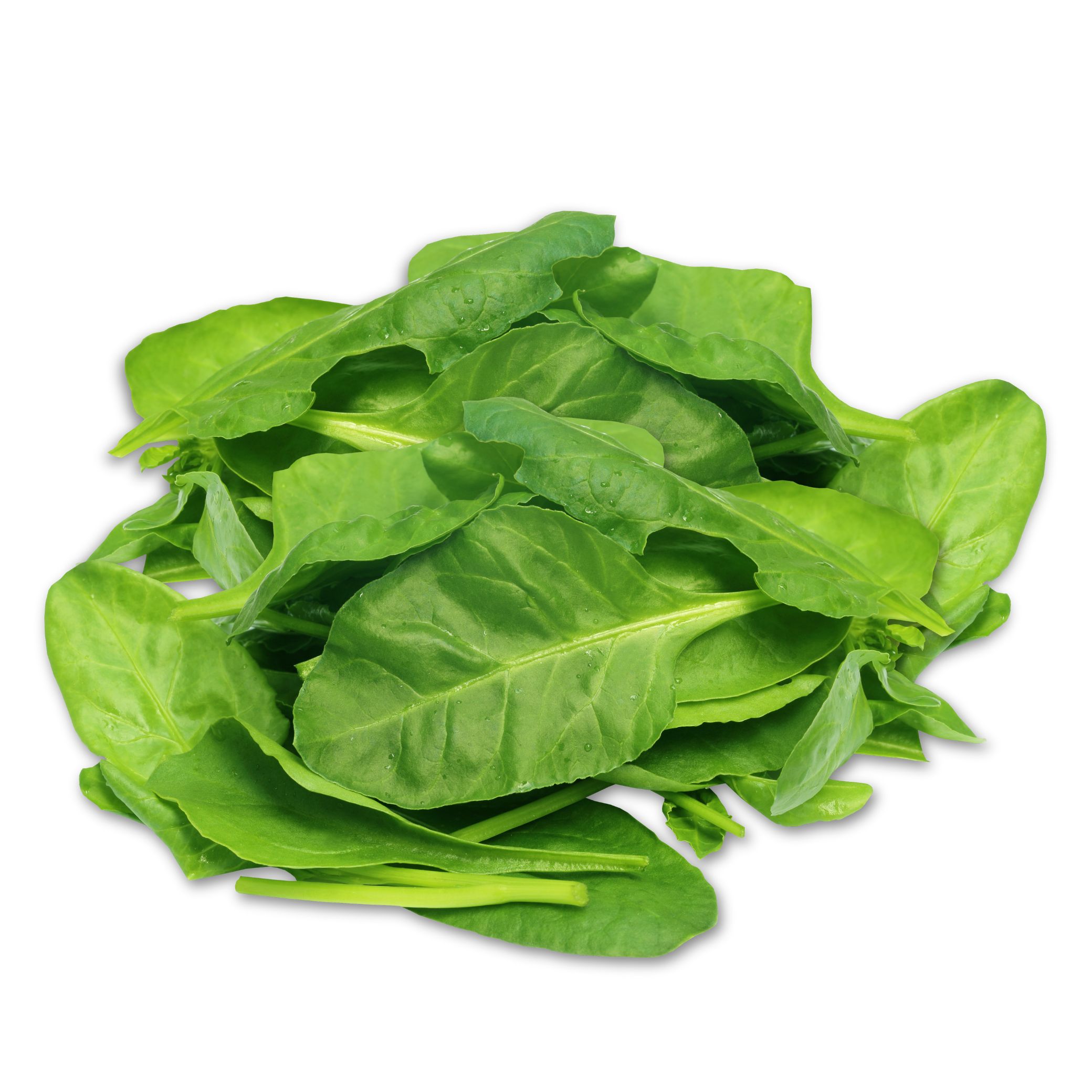 spinach leaves תרד גוליבר spinach leaves תרד גוליבר