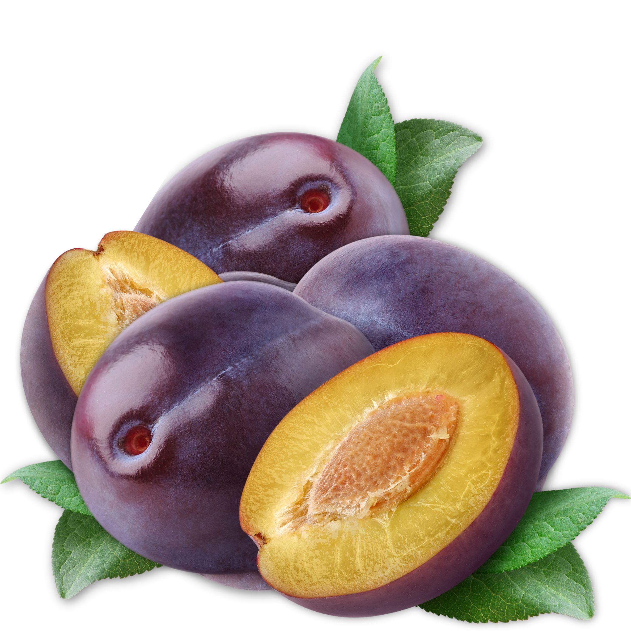 Plum שזיף שגיב Plum שזיף שגיב