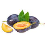 שזיף שגיב