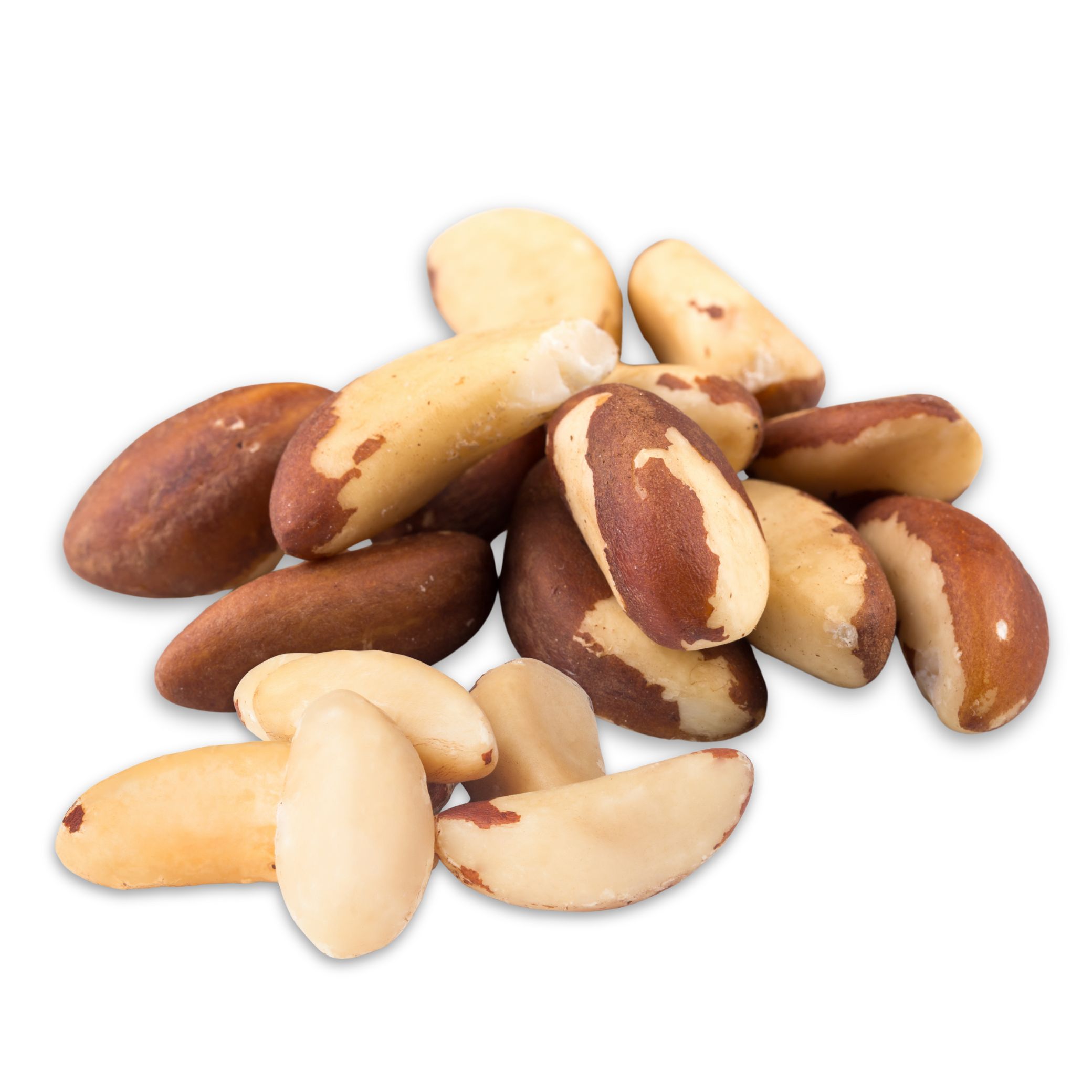 brazil nuts אגוז ברזיל brazil nuts אגוז ברזיל