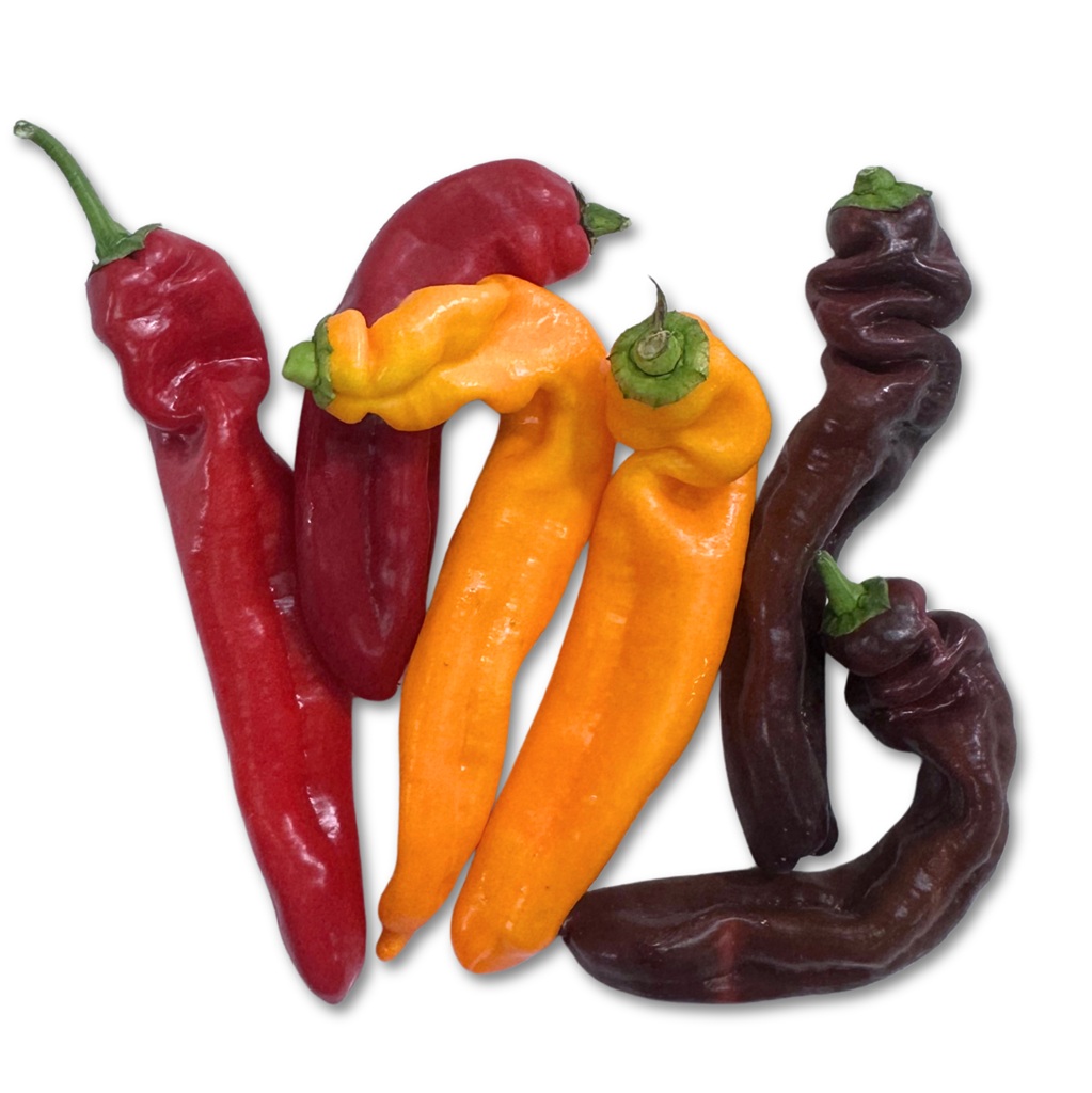 מארז קילו פלפל שושקה צבעוני מארז קילו פלפל שושקה צבעוני