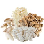 מיקס פטריות Mix mushrooms