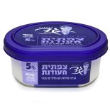 צפתית מעודנת מחלבות גד