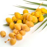 Barhi Dates Fresh Yellow Dates תמר צהוב