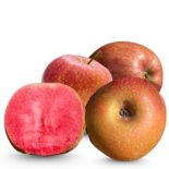 תפוח לב אדום red heart apple