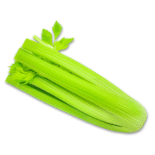 סלרי אמריקאי חתוך ללא עלים Celery head without leaves