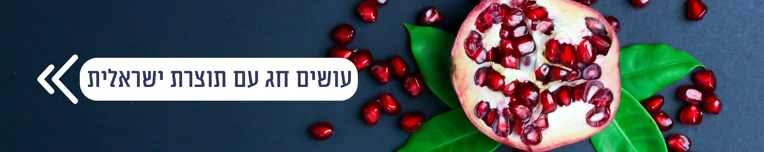 באנר עמוד פנימי דסקטופ