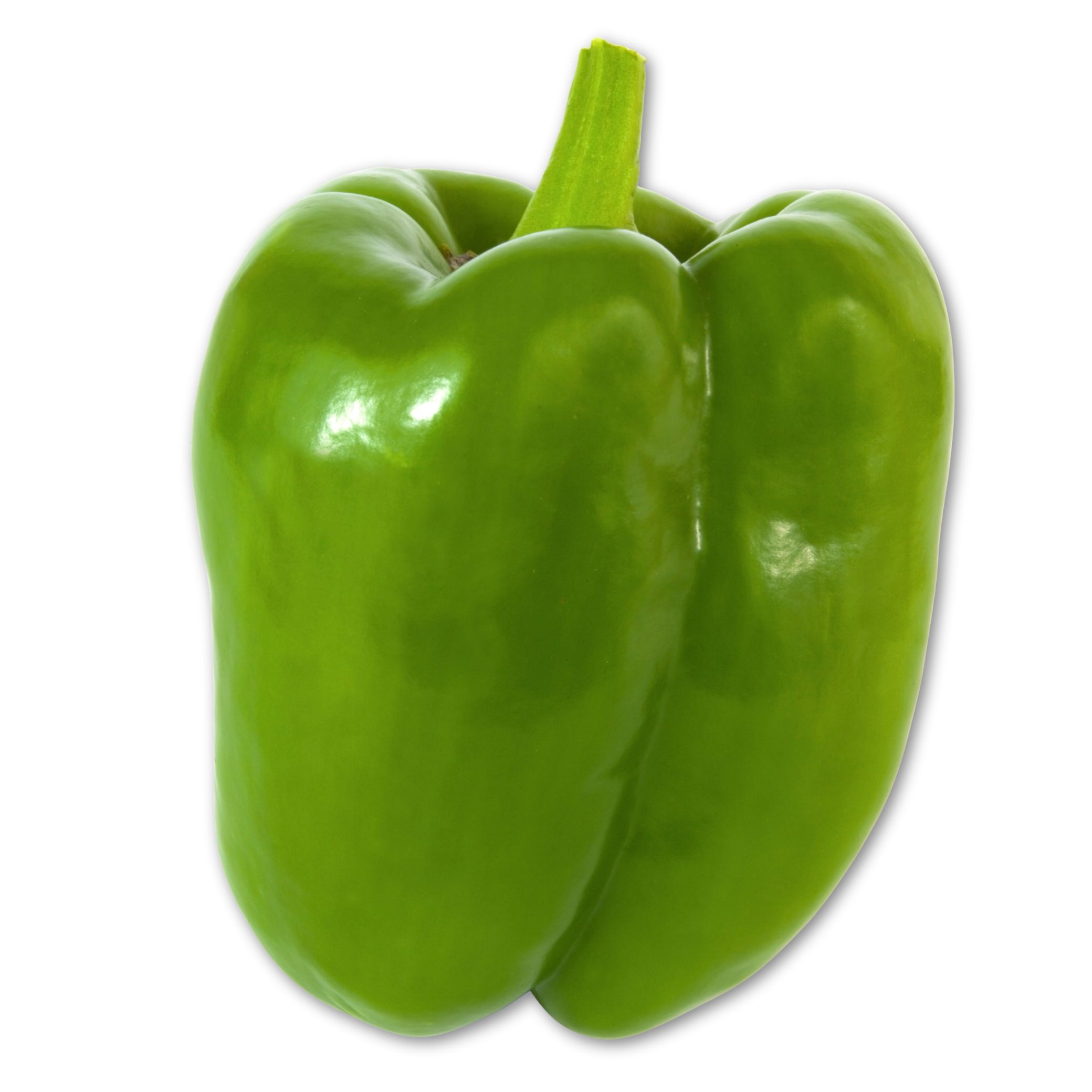 light green pepper פלפל ירוק בהיר