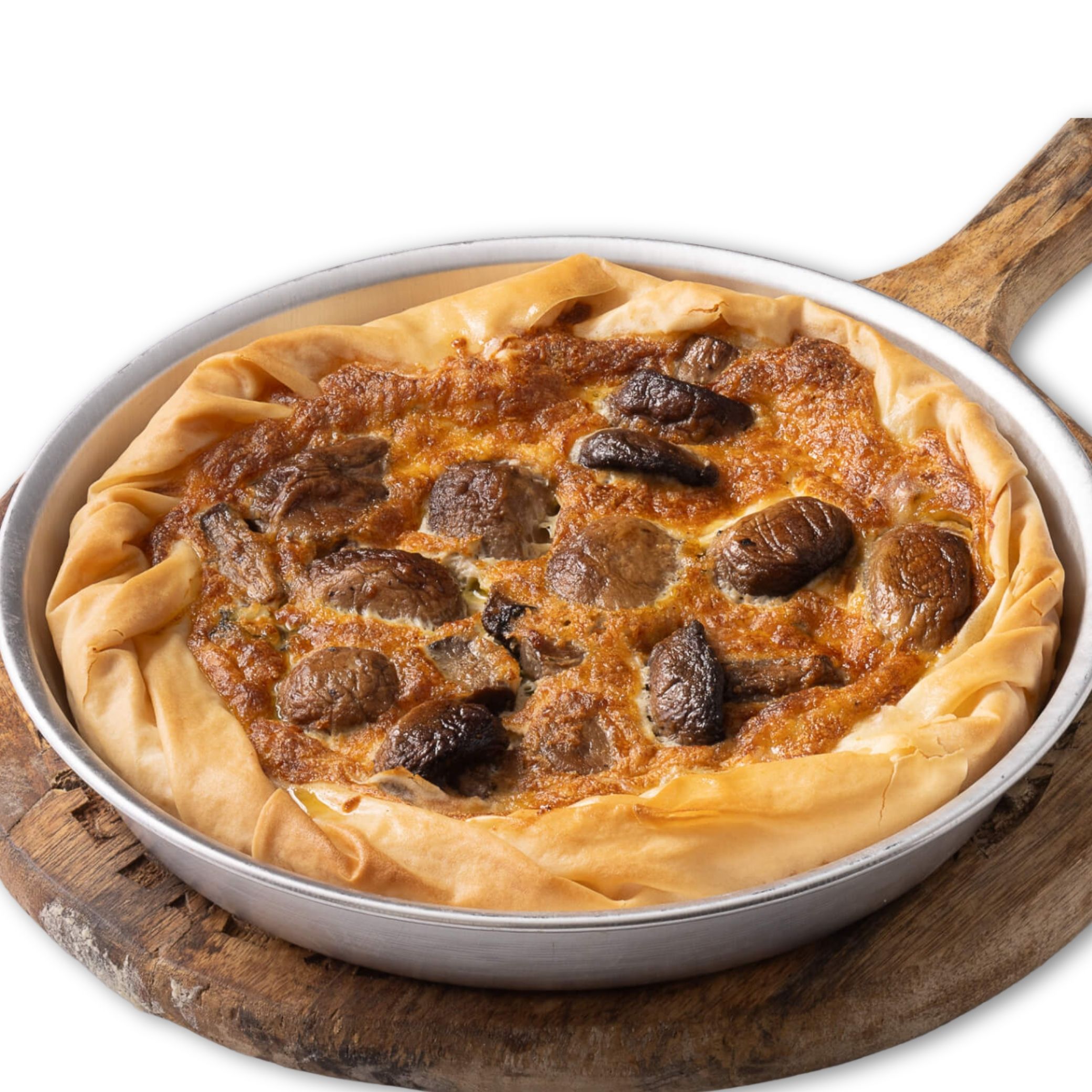 פאי פטריות GRECO גרקו פאי פטריות GRECO גרקו