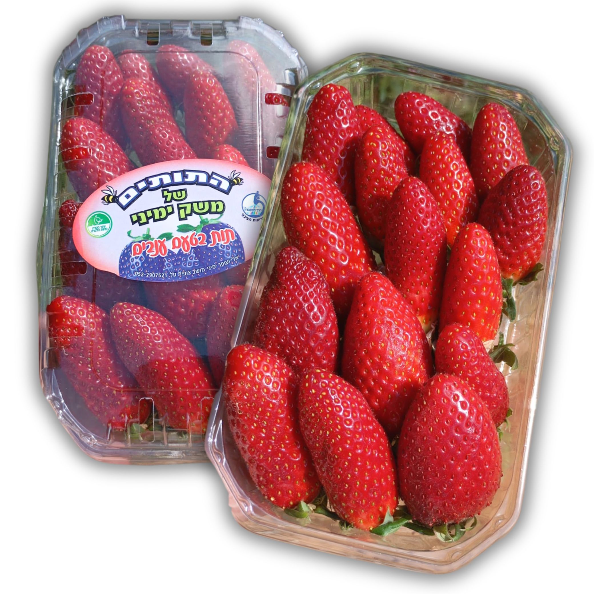 תות בטעם של ענבים