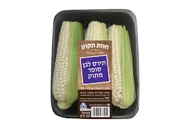 תירס לבן חוות תקוע