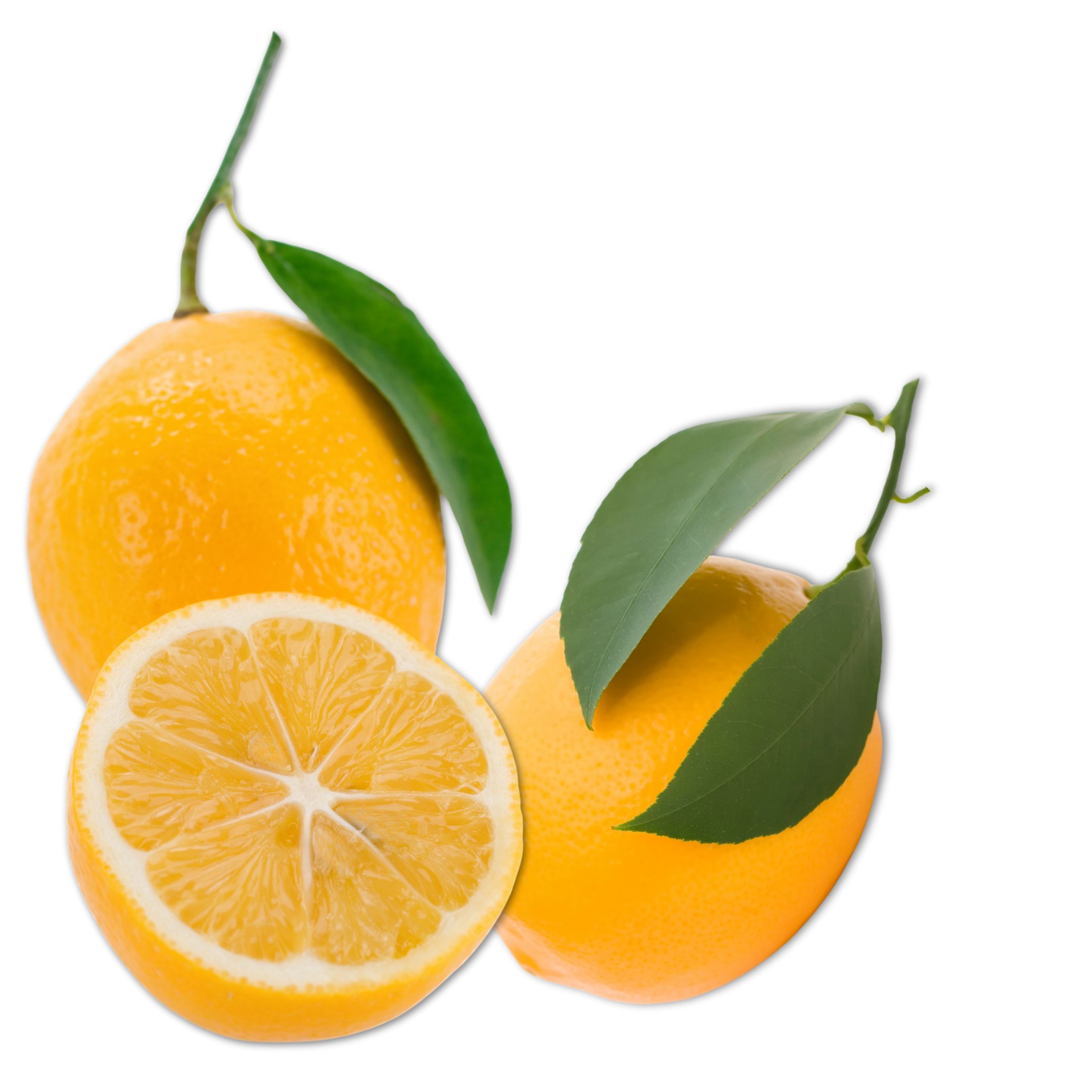 לימון מאייר Meyer lemon