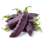 אפונת שלג סגולה