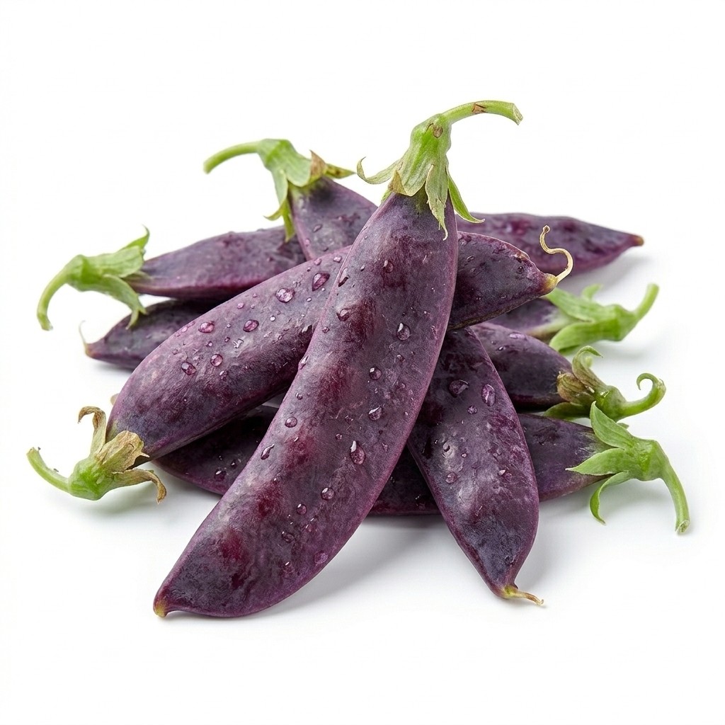 אפונת שלג סגולה