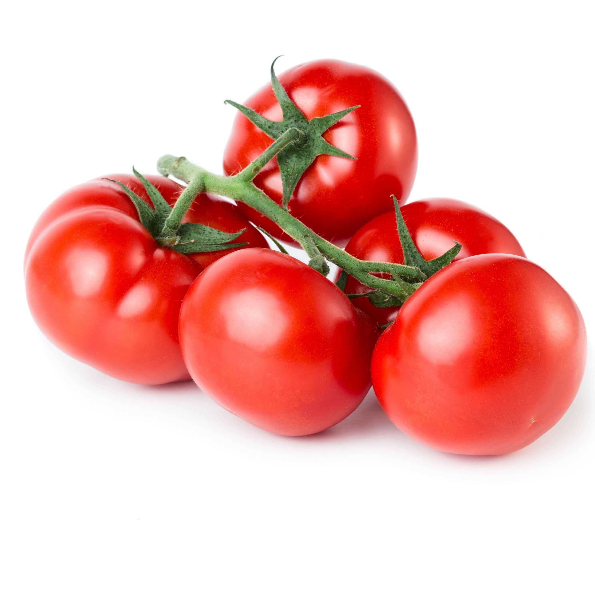 עגבניות מגי אורגניות organic Maggi tomatoes
