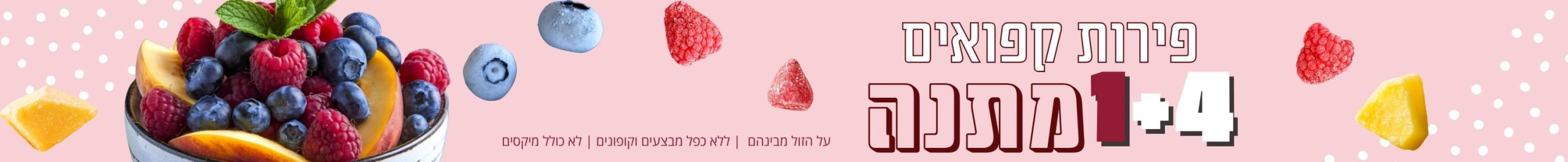 banner_inner_desktop_frozonf